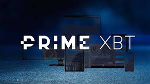 Understanding the PrimeXBT Download Statement A Comprehensive Guide