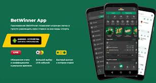BetWinner Casino and Sportsbook Your Ultimate Betting Experience 531769051