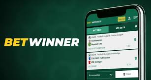 Discover the Excitement of BetWinner Casino and Sportsbook